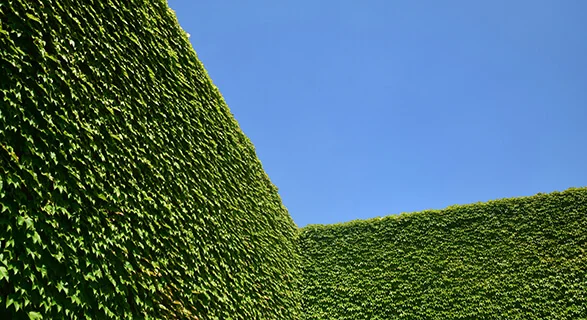 Wir Deutschen haben ein starkes Bedürfnis nach Normen - Bild: serena saponaro auf Unsplash